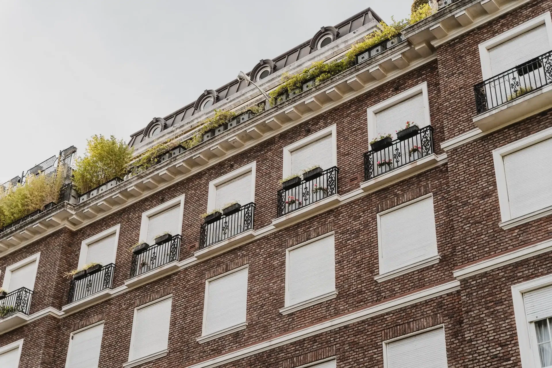 Fachada de un edificio de ladrillo con ventanas de marco blanco y vegetación en la azotea, vista desde abajo.