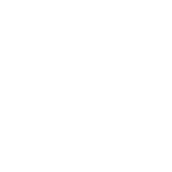 Icon Carport und Auto
