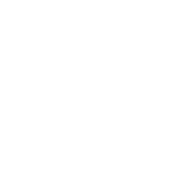 Icon Carport mit Auto