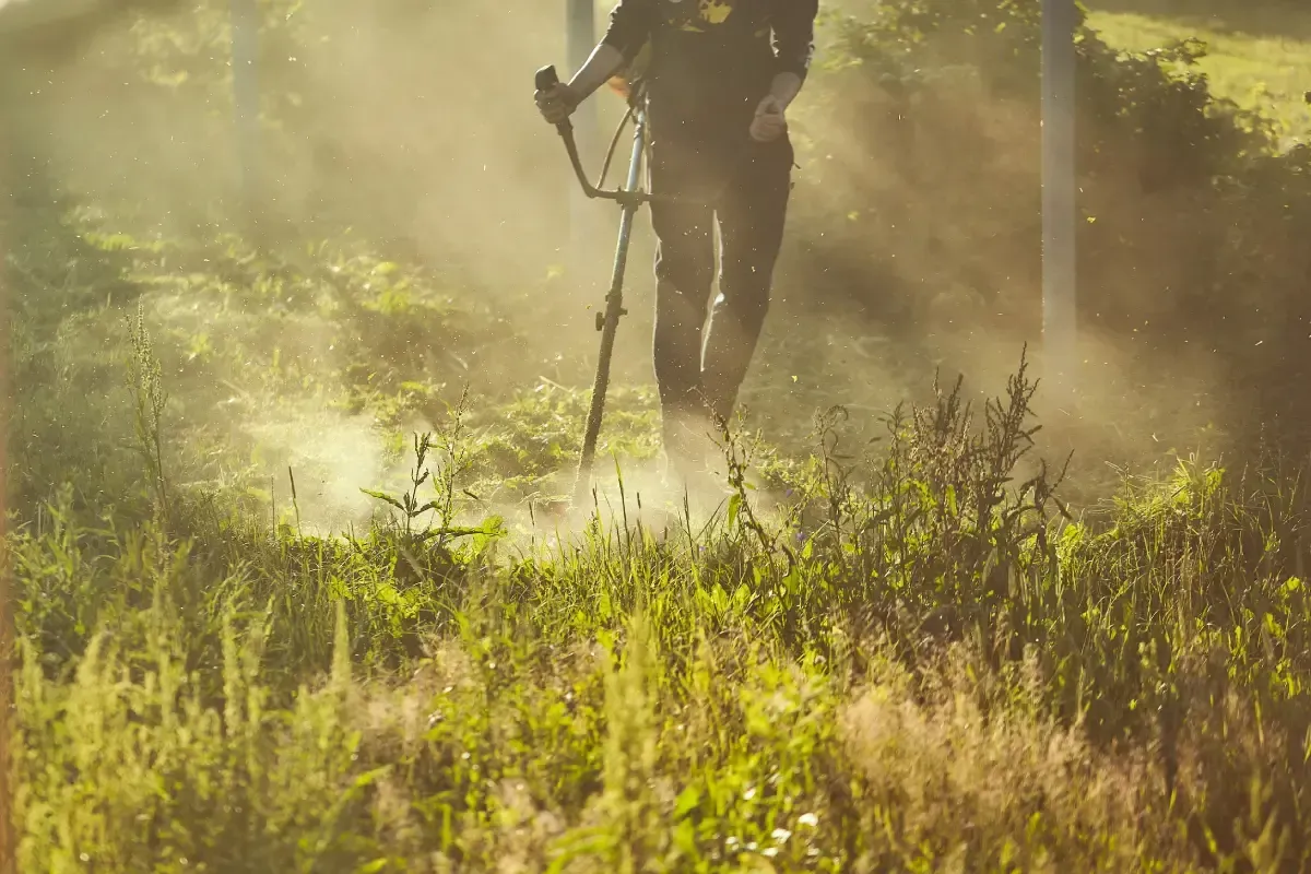 Persona con una bicicleta caminando por la hierba alta, con la luz del sol entrando a través de ella.