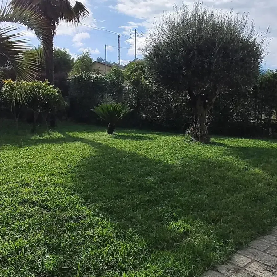 Césped verde con árboles y arbustos bajo un cielo nublado.