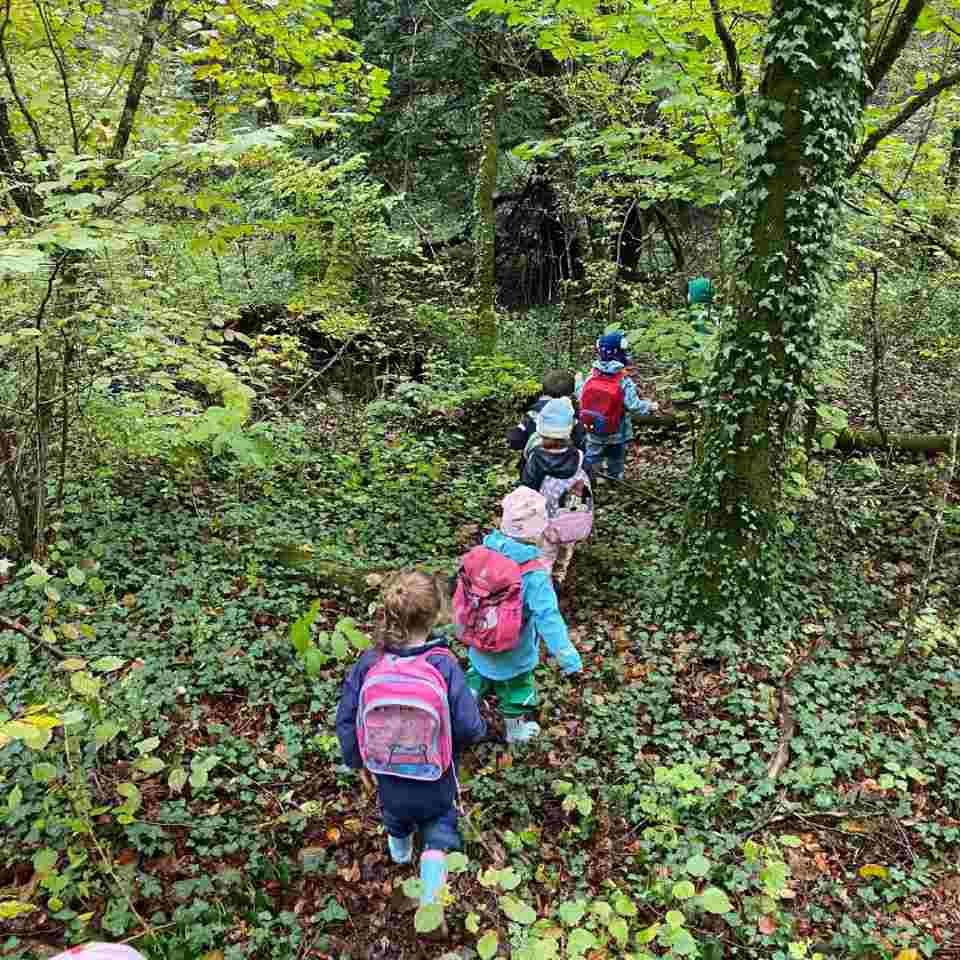 Un groupe d'enfants se promène dans une forêt.