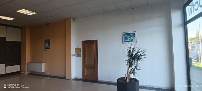 Hay una planta en el medio de la habitación.