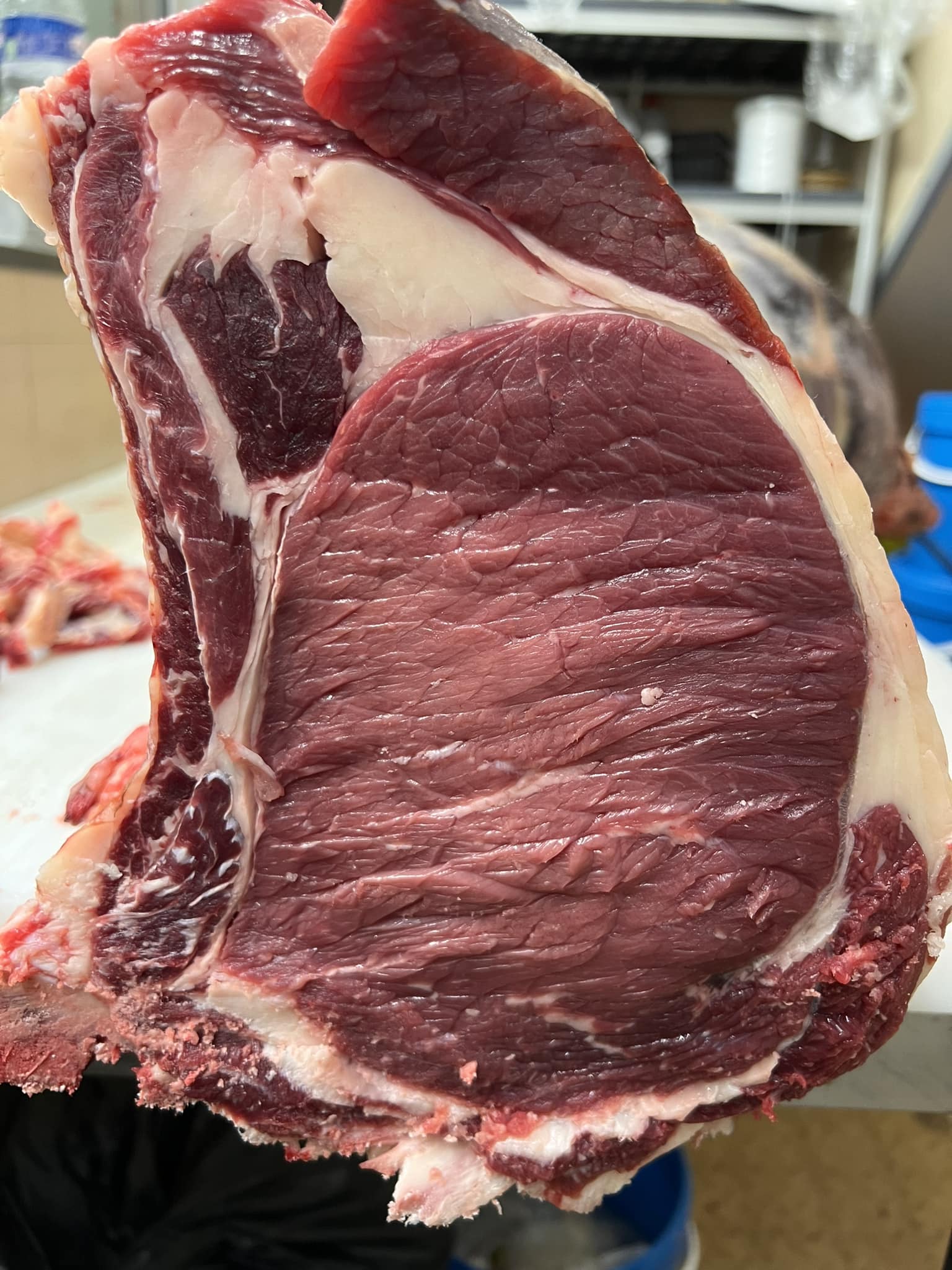 Côte de boeuf de race Aubrac