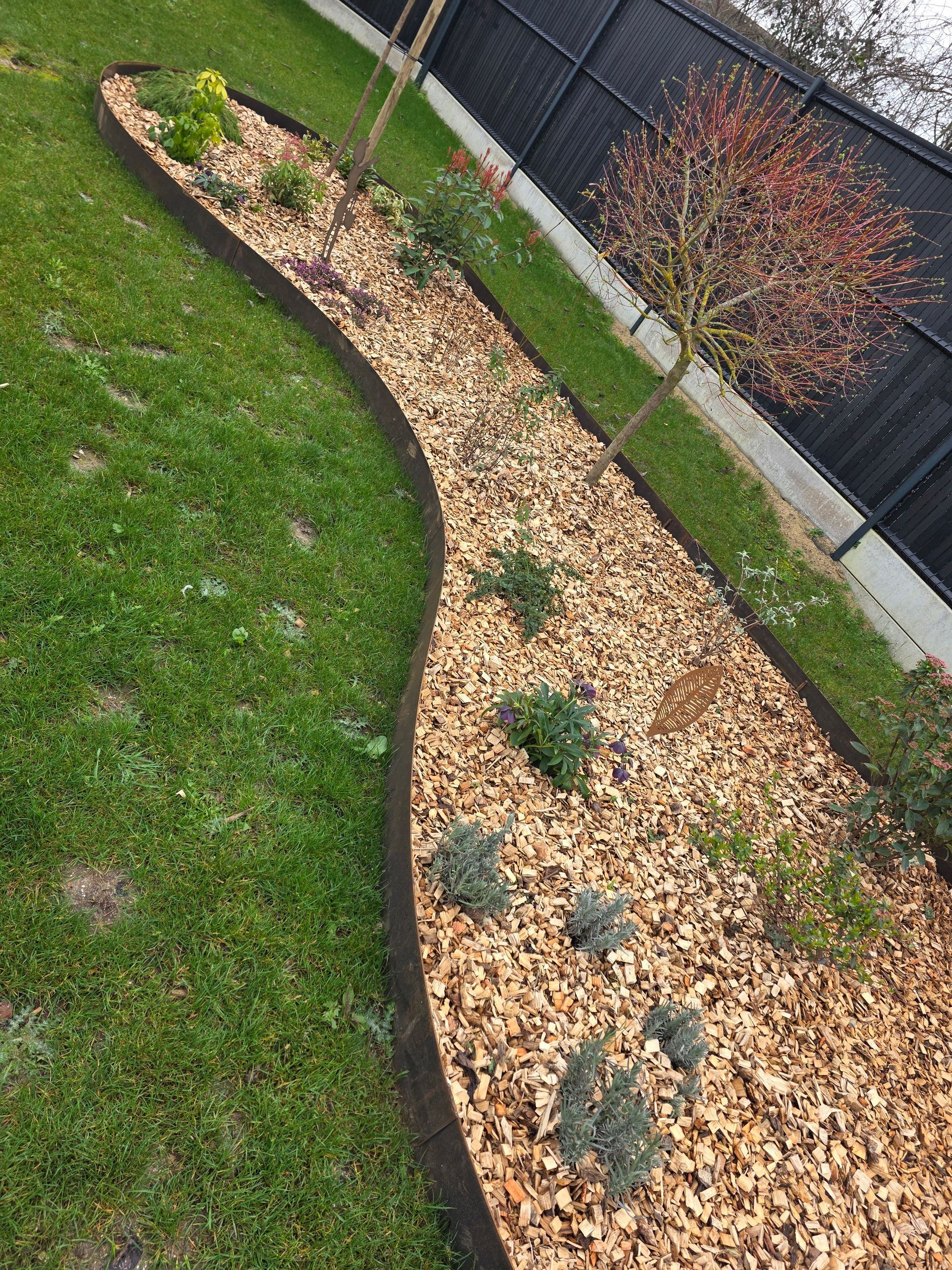 Massif de jardin incurvé recouvert de paillis, agrémenté de petits arbustes, jouxtant une pelouse verte et une clôture.