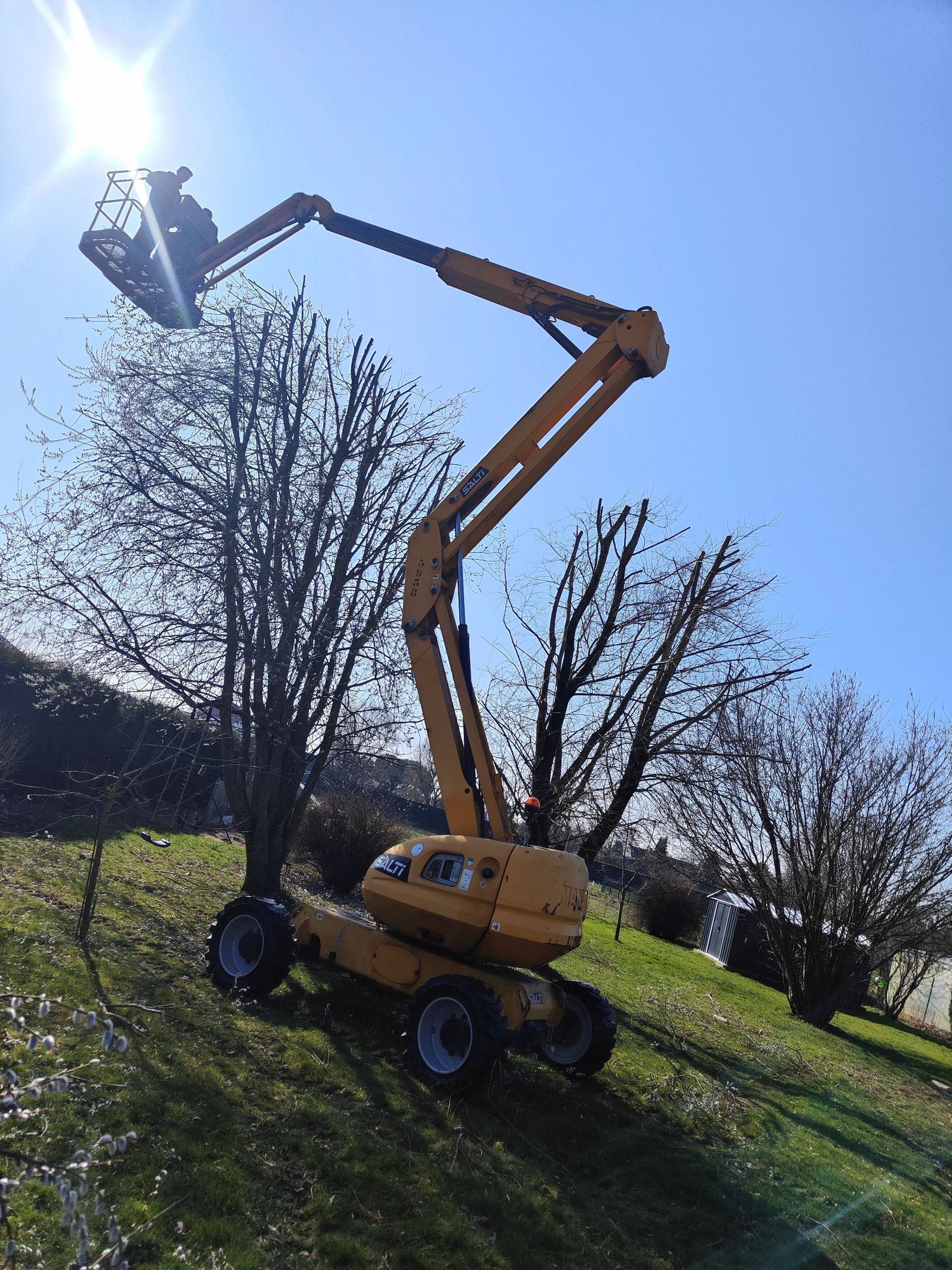 Une nacelle élévatrice jaune soulève un panier de manutention près d'arbres dénudés sur une pente herbeuse ensoleillée.