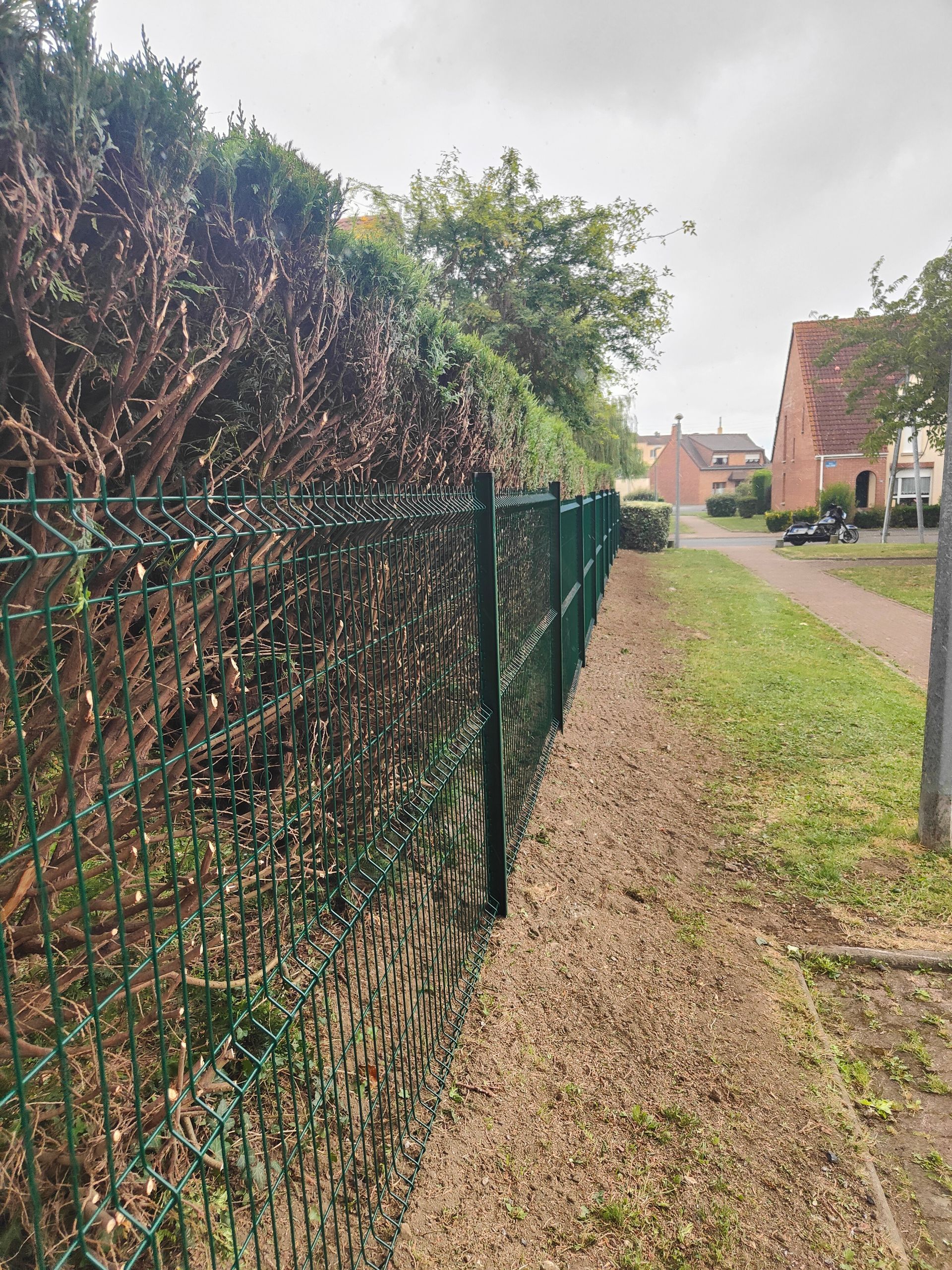 Clôture en fil de fer vert le long d'un chemin de gravier, bordée de haies et de maisons dans une rue résidentielle tranquille.