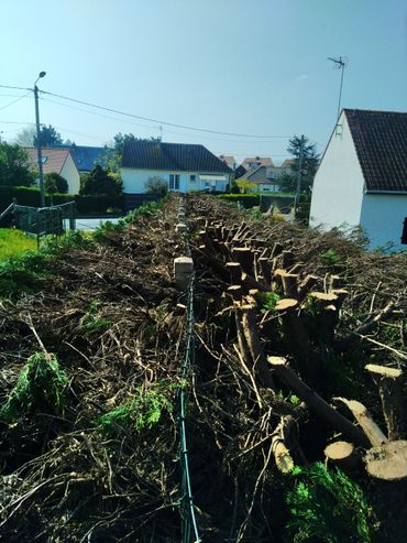 Gros tas de débris végétaux et de branches dans une cour ensoleillée, avec des maisons en arrière-plan.