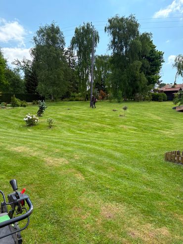 Une personne tond une pelouse verte avec une tondeuse à gazon noire à côté d'une maison