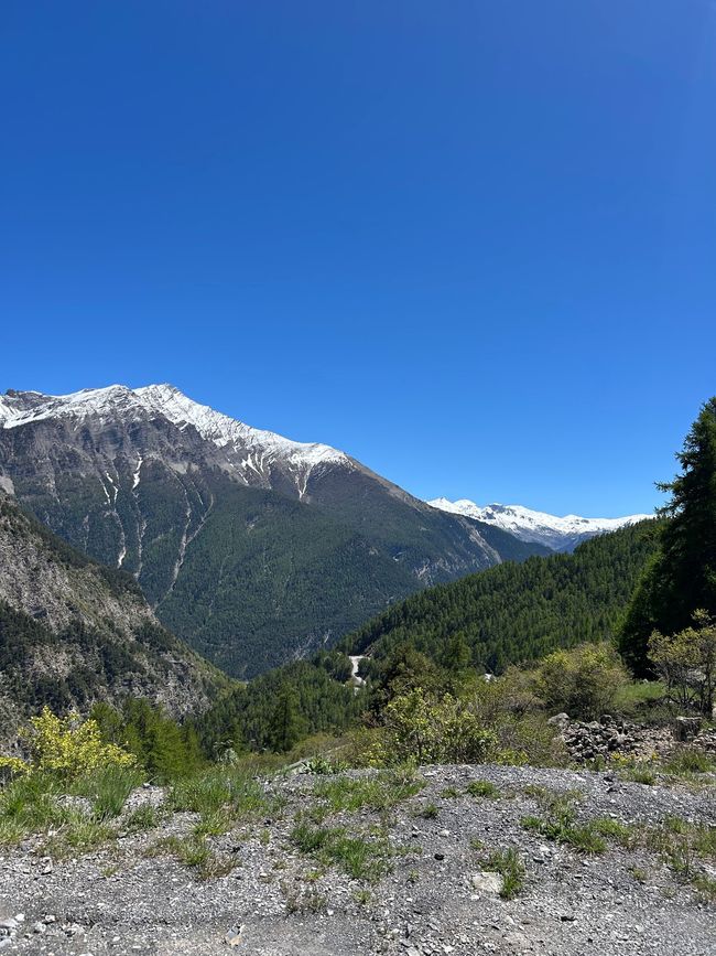 Des montagnes enneigées surplombant une vallée verdoyante.
