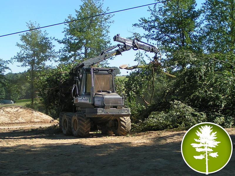 Travaux forestiers Travaux forestiers