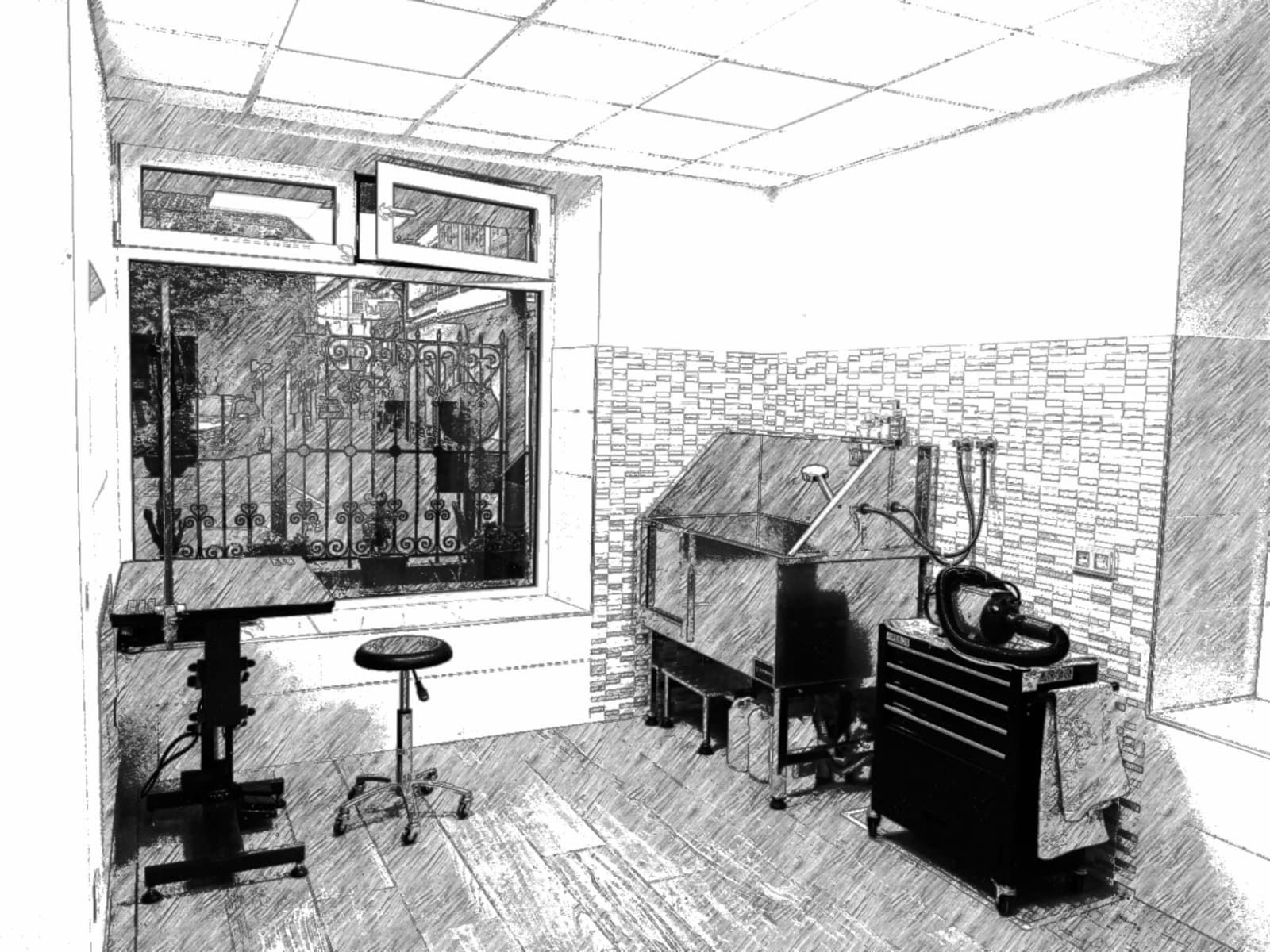 Un dibujo en blanco y negro de una sala de peluquería canina.