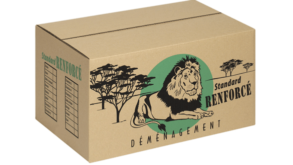 Carton standard renforcé