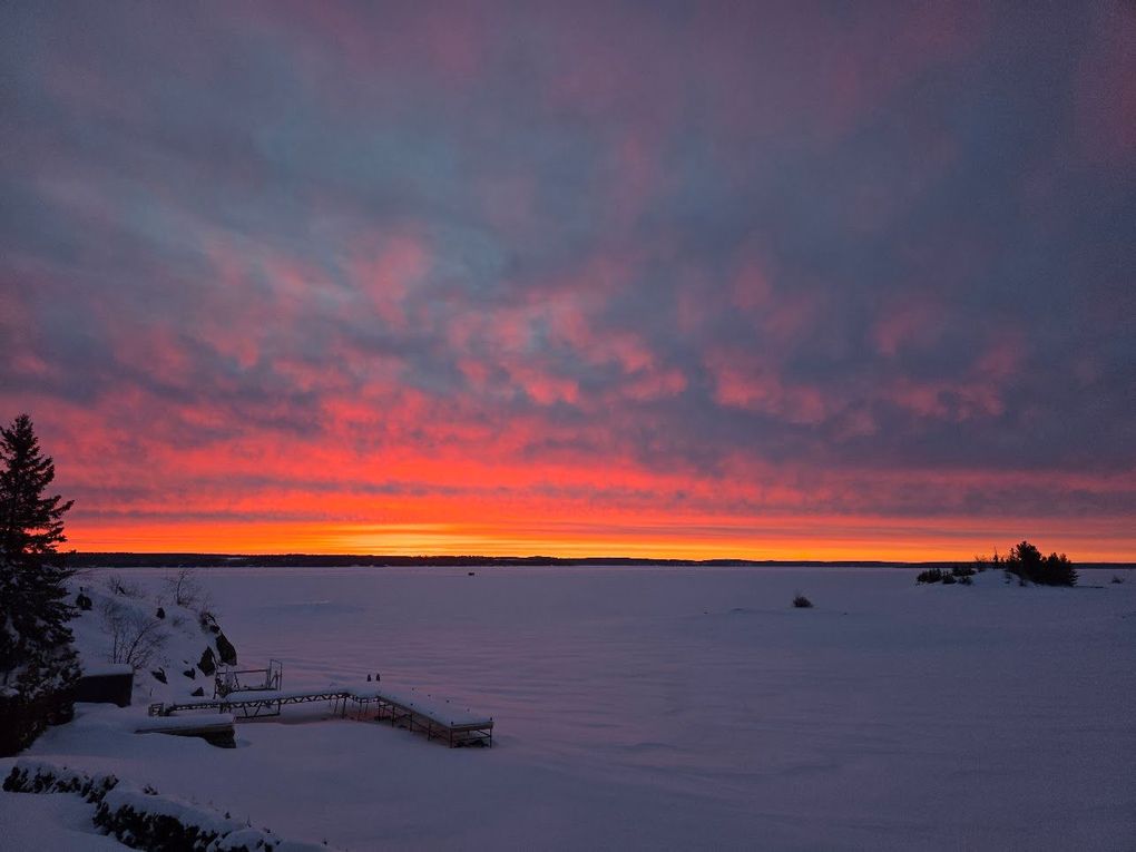 Snowy field at sunset with a vivid pink-orange sky and dark tree silhouettes.