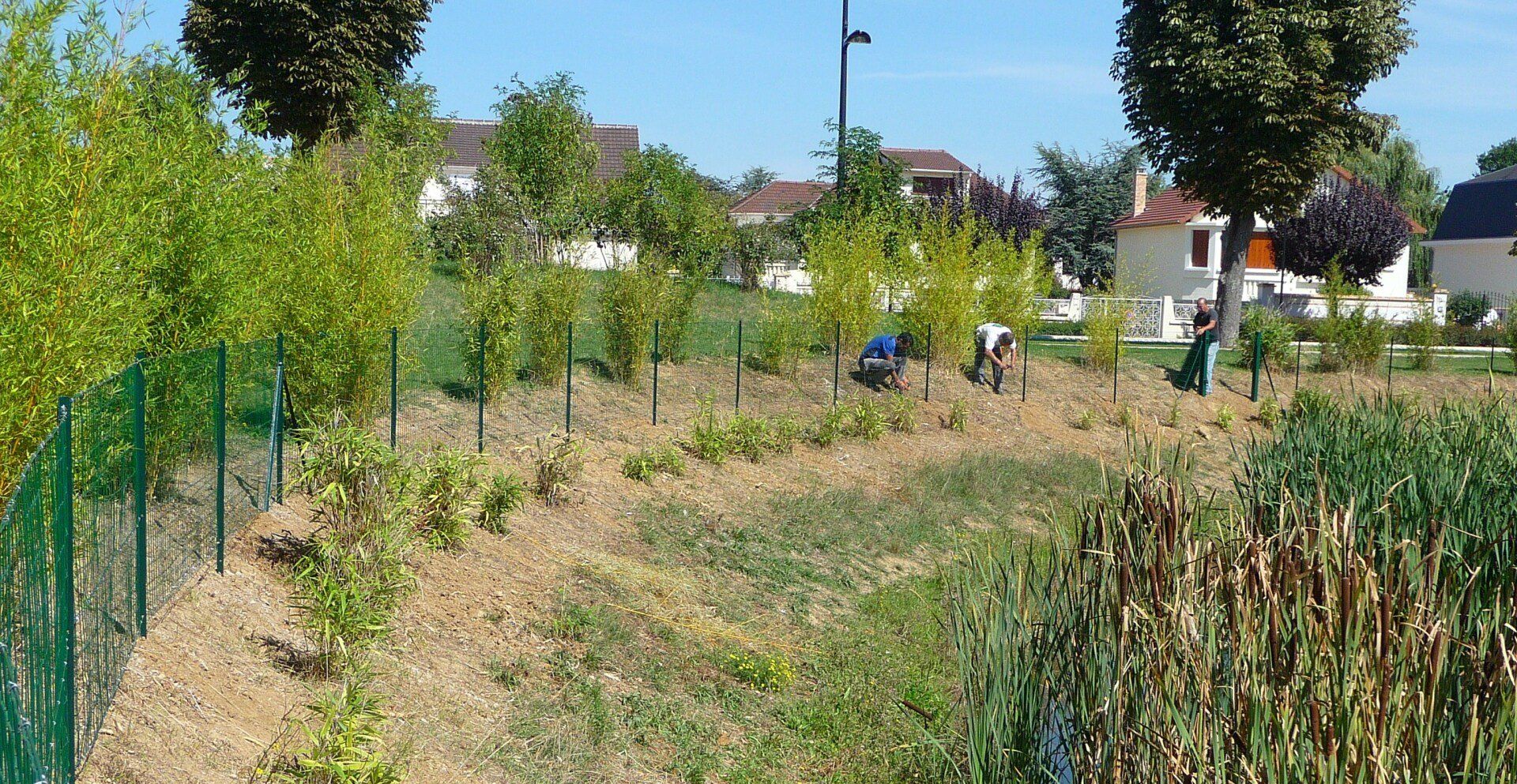 Clôture et végétation