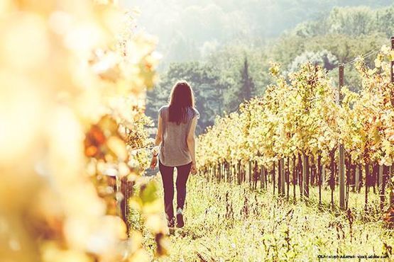 Frau spaziert in einem Weingut