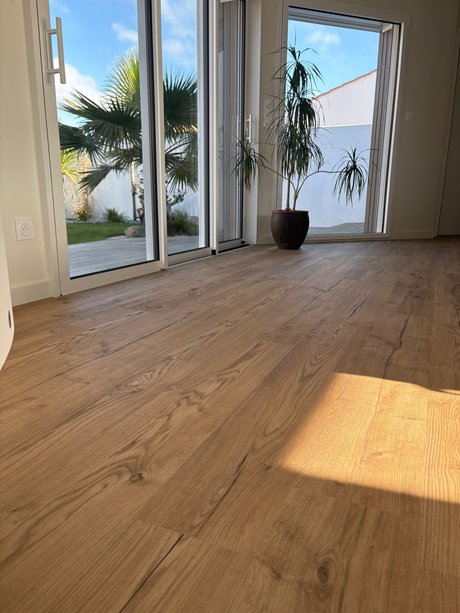 Parquet baigné de soleil, portes vitrées donnant sur un jardin. Une plante en pot se trouve à l'intérieur.