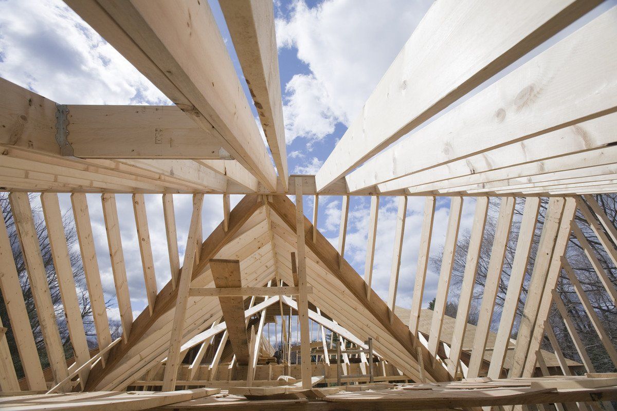 charpente en bois clair