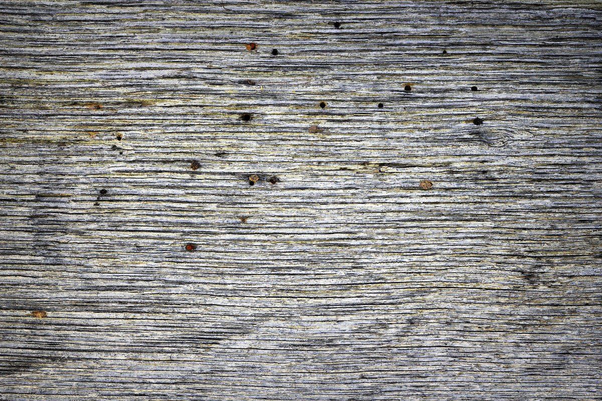 Traitement de charpente