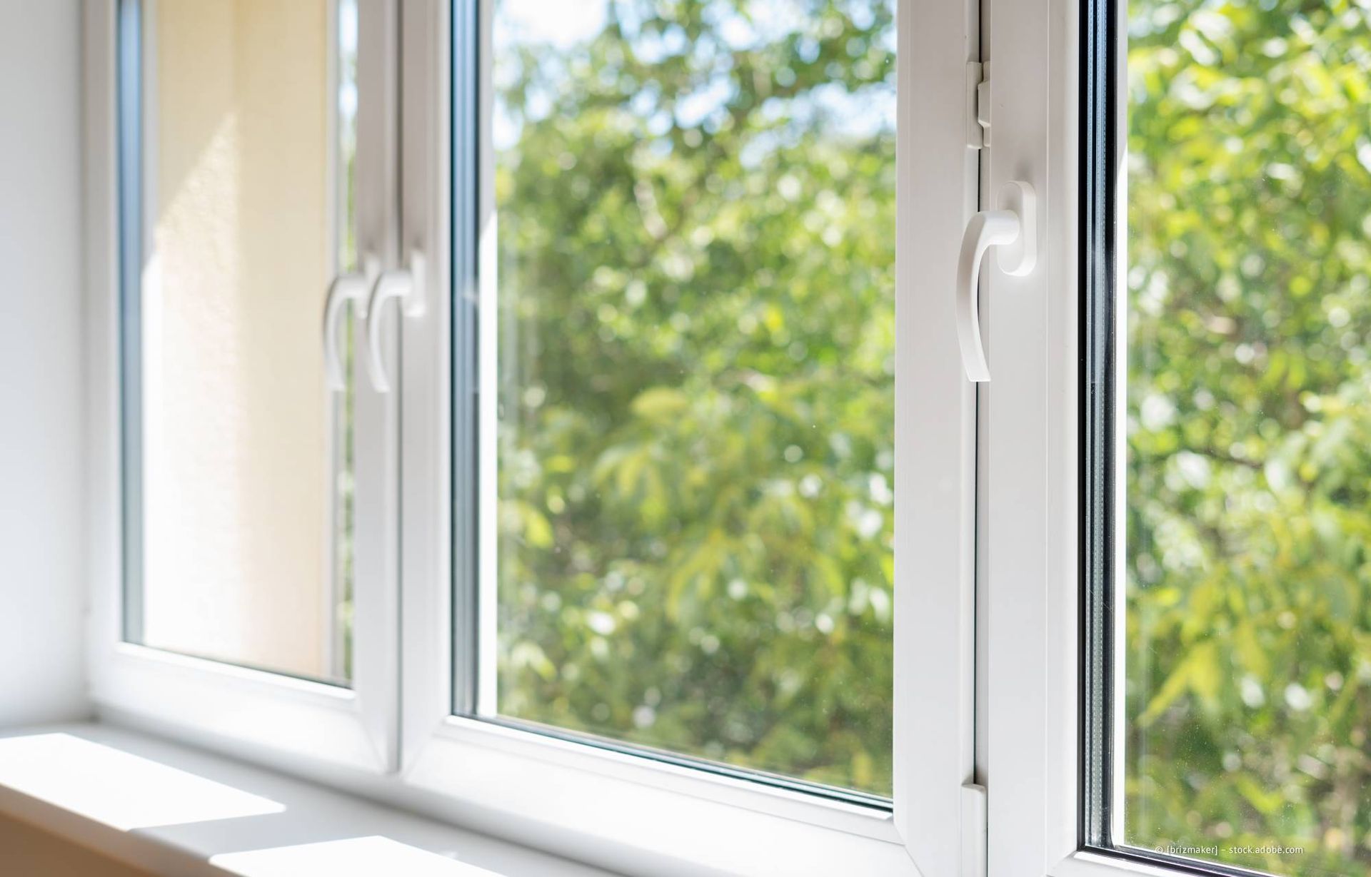 Fenster mit weißem Rahmen und Blick auf grüne Bäume.