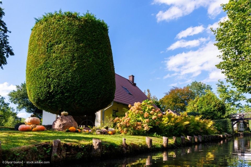 Grüne Flusslandschaft im Spreewald, ruhiges Gartenhaus unter sonnigem blauem Himmel