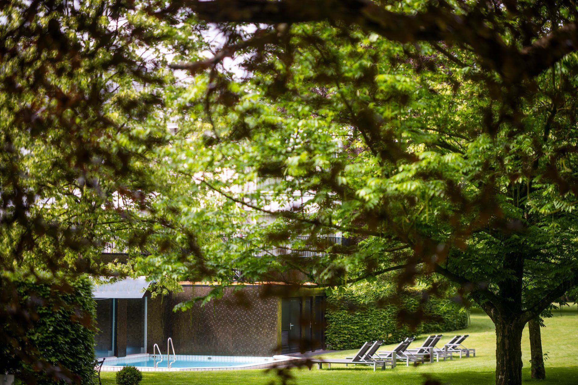 Zwembad omgeven door bomen; ligstoelen op het gazon.