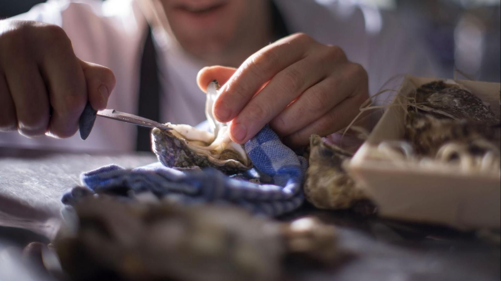 Koch öffnet eine Auster mit einem Messer, Nahaufnahme, Arbeitsfläche, Tuch und weitere Austern.