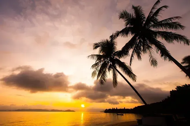 Puesta de sol sobre un océano en calma con siluetas de palmeras en una playa; el cielo está lleno de tonos dorados y naranjas.