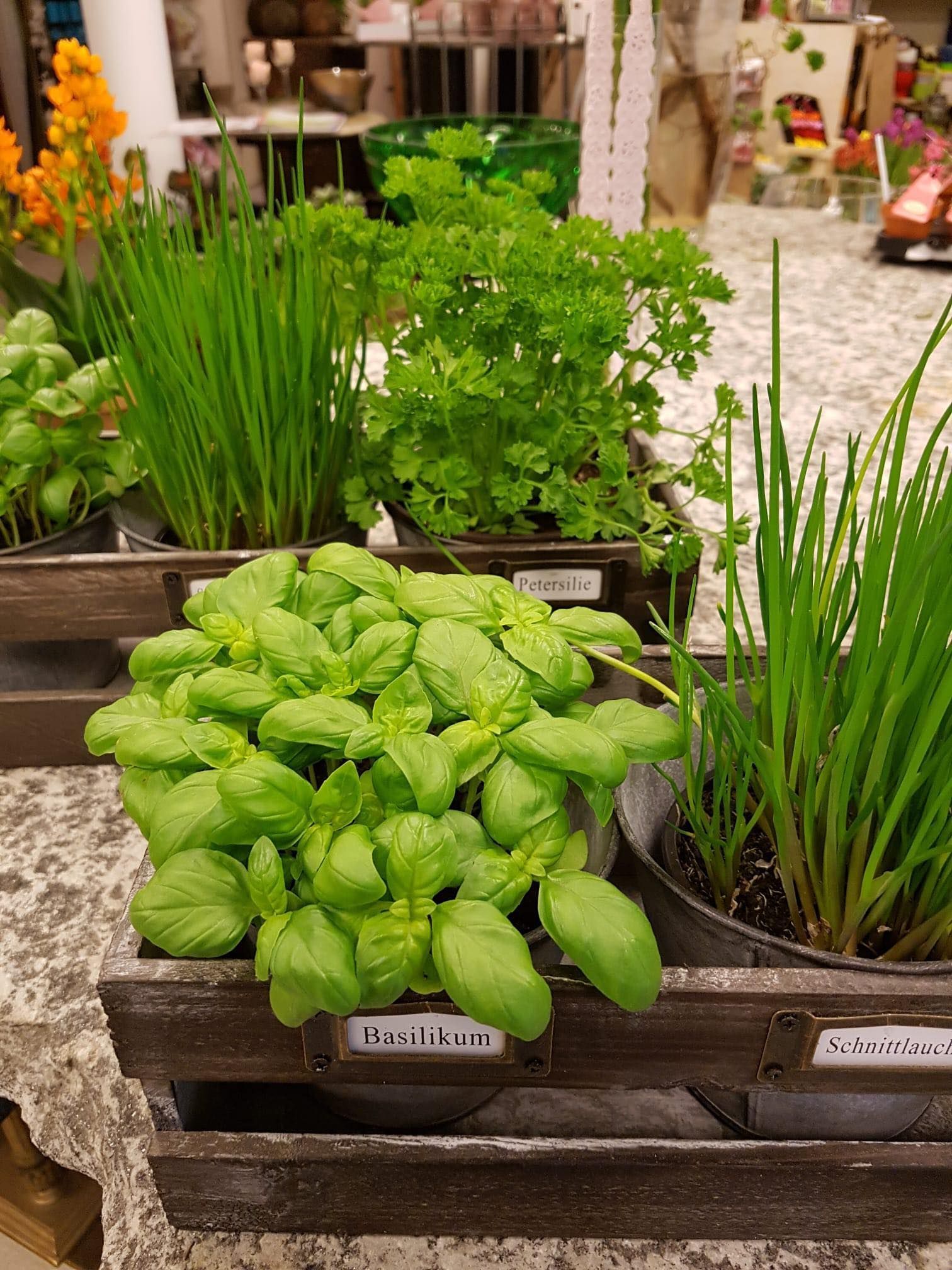 Blumengeschäft - Creativ-Floristik Blumen & Café - St. Gallen