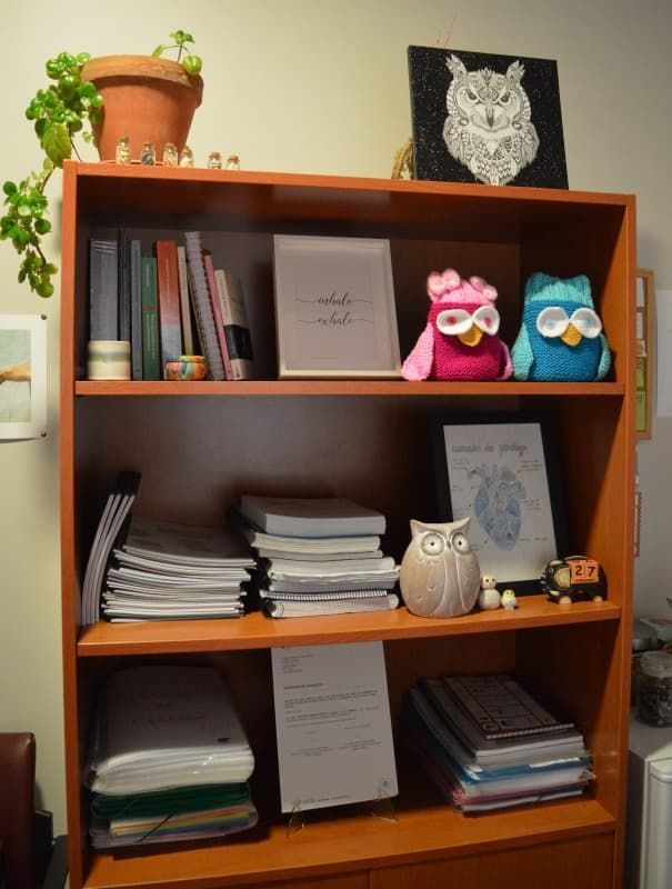 Una estantería con búhos disecados y libros encima.