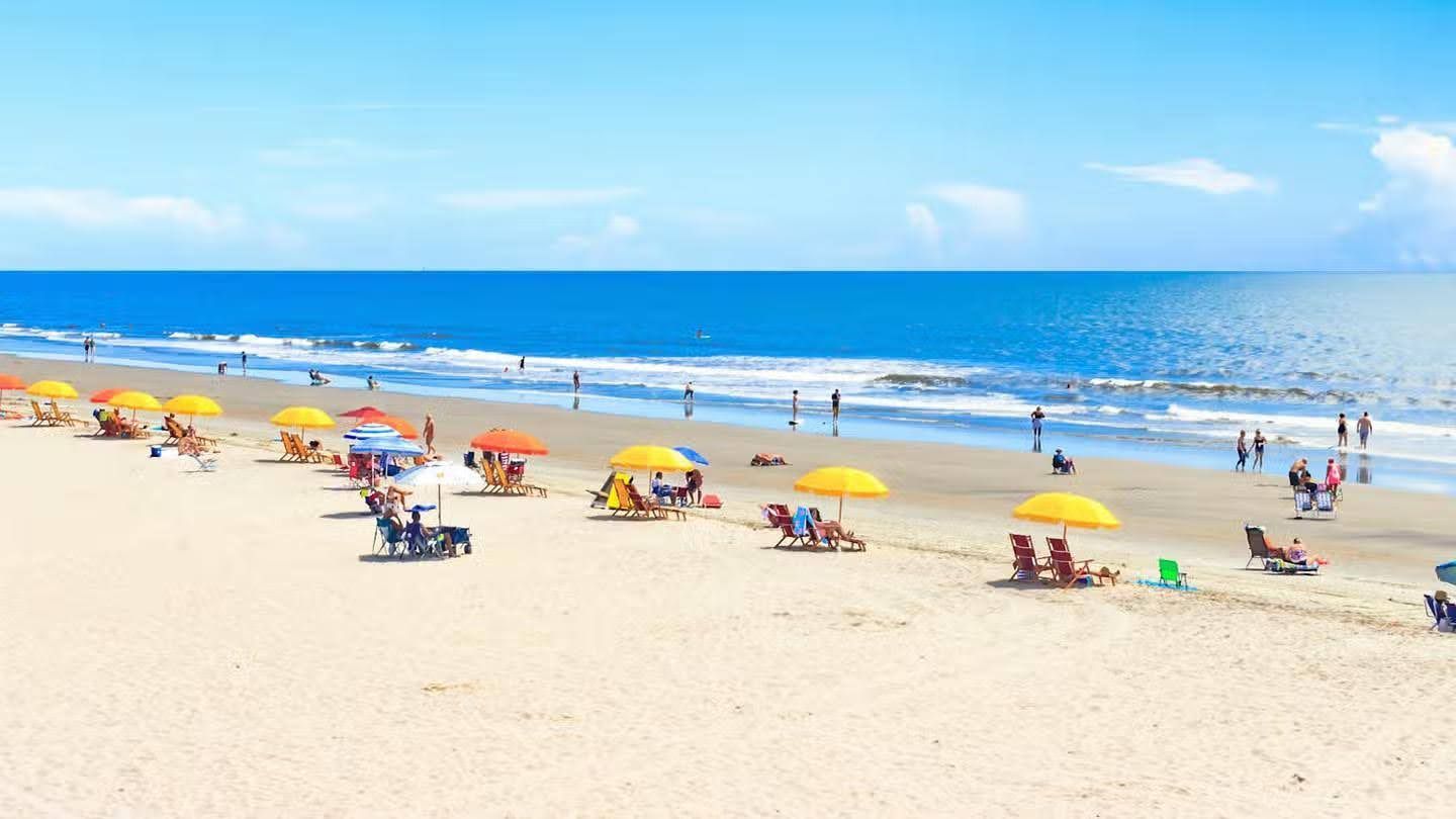 Top Hidden Beaches in Charleston Only Locals Know