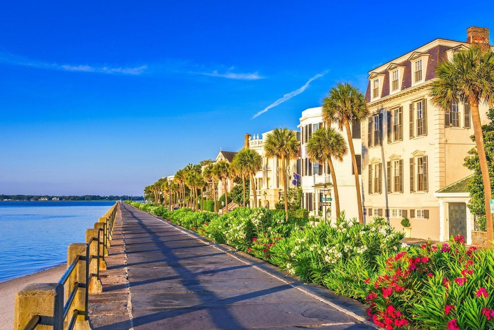 Choosing the Best Time to Visit Charleston