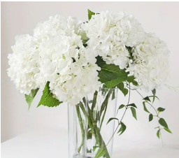 Ce bouquet de fleurs décoratif artificiel blanc et de couleur apportera une touche élégante et naturelle à vos événements. Idéal pour embellir vos tables, salons ou pour toute autre occasion spéciale. Prix : 4,00 €-5,00 €.