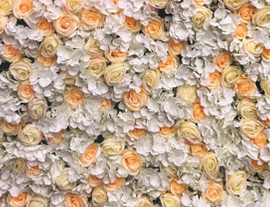 Mur floral jaune vif en fleurs artificielles, idéal pour apporter une touche de fraîcheur et de lumière à vos événements. Location au prix de 110,00 €.
