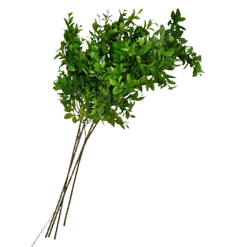 Ces tiges de buis artificielles sont parfaites pour compléter vos créations florales ou pour ajouter une touche de verdure discrète à vos centres de table. Location : 1,00 € les 5 tiges.
