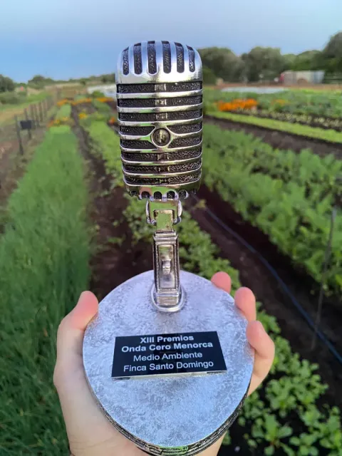 Trofeo con forma de micrófono antiguo sobre una base de piedra en un campo agrícola verde con hileras de cultivos.