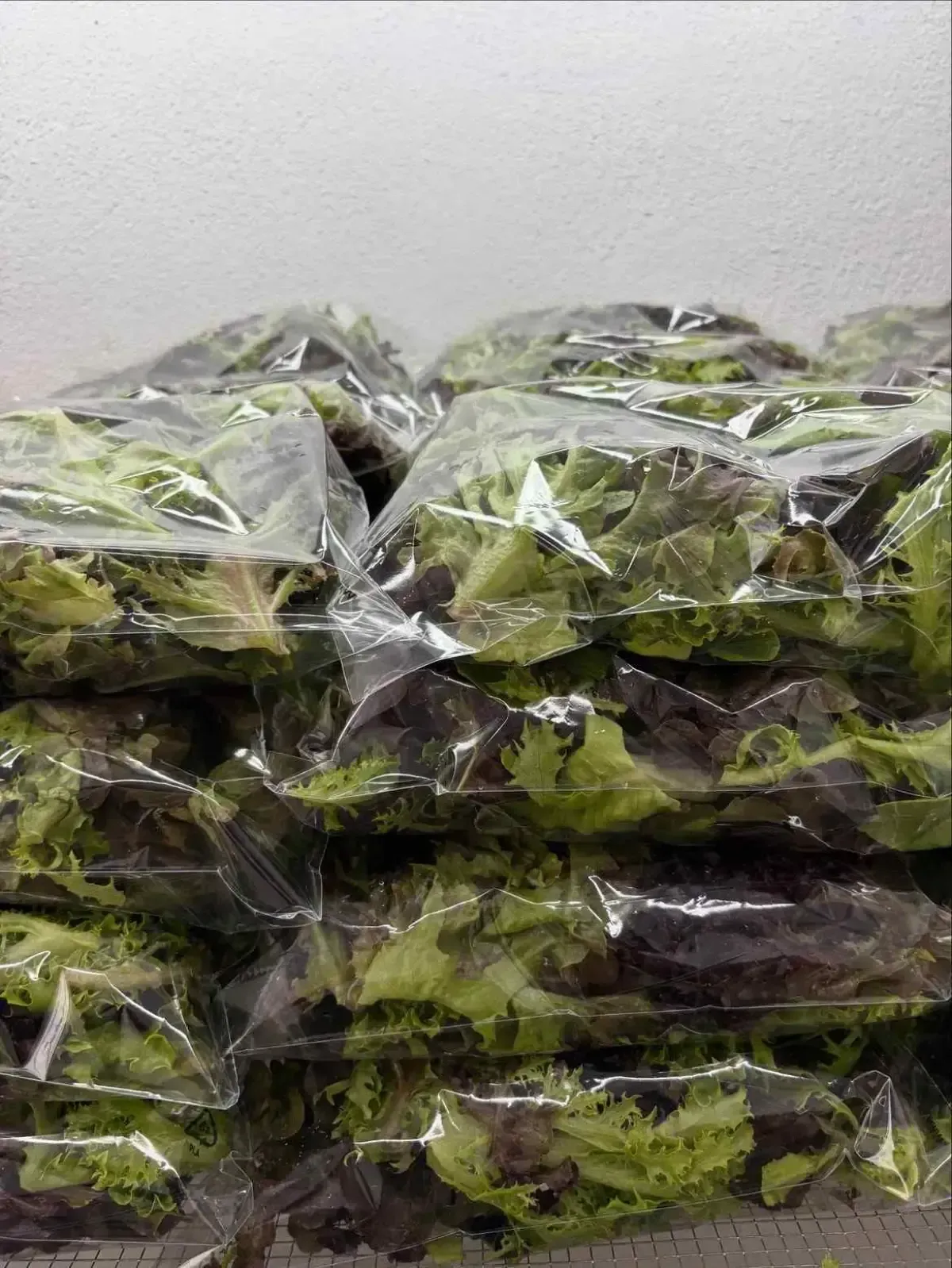 Montones de verduras de hoja verde envueltas en plástico en un área de almacenamiento.