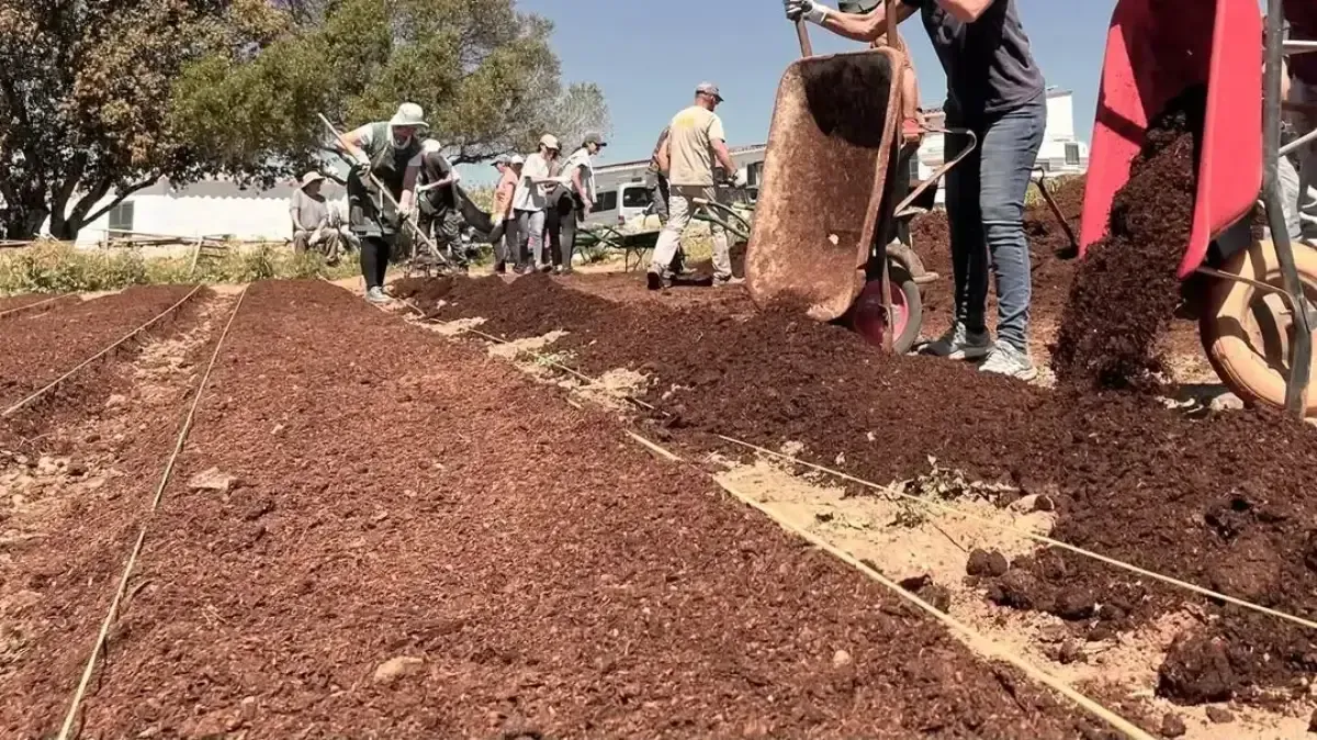 Gente paleando mantillo en largos parterres al aire libre en un día soleado.