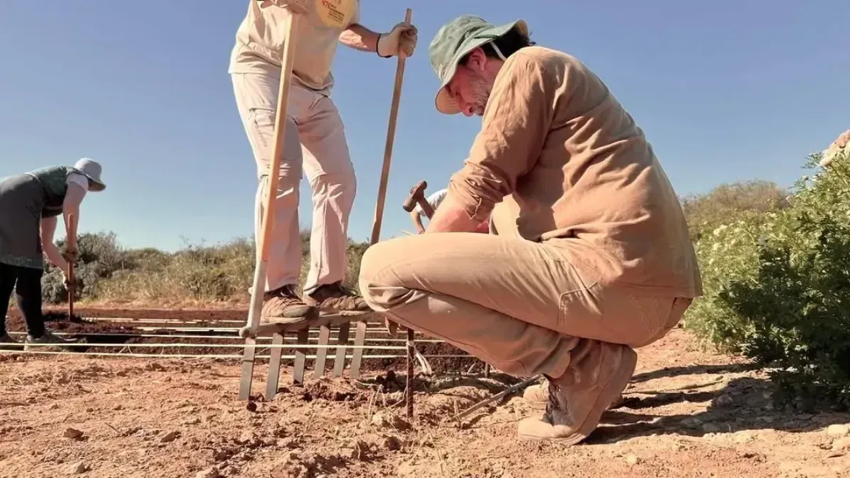 Varias personas se agachan y se ponen de pie sobre una rejilla de análisis de suelo en un campo seco bajo un sol brillante.
