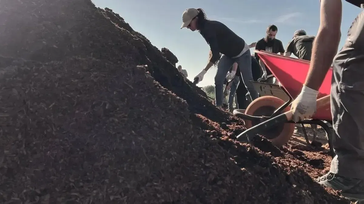 Unos trabajadores palean tierra oscura junto a una carretilla roja en un terreno fangoso al aire libre.