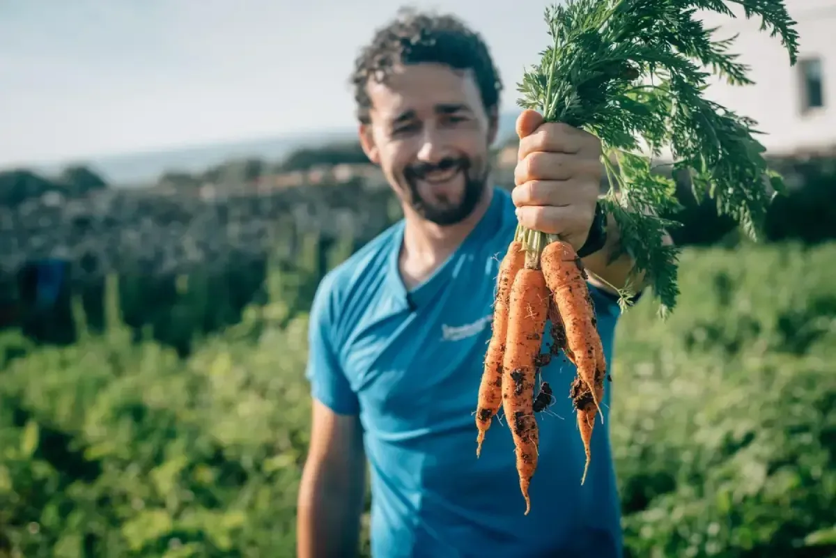 Hombre sonriente con camisa azul sosteniendo zanahorias recién cosechadas en un campo verde.