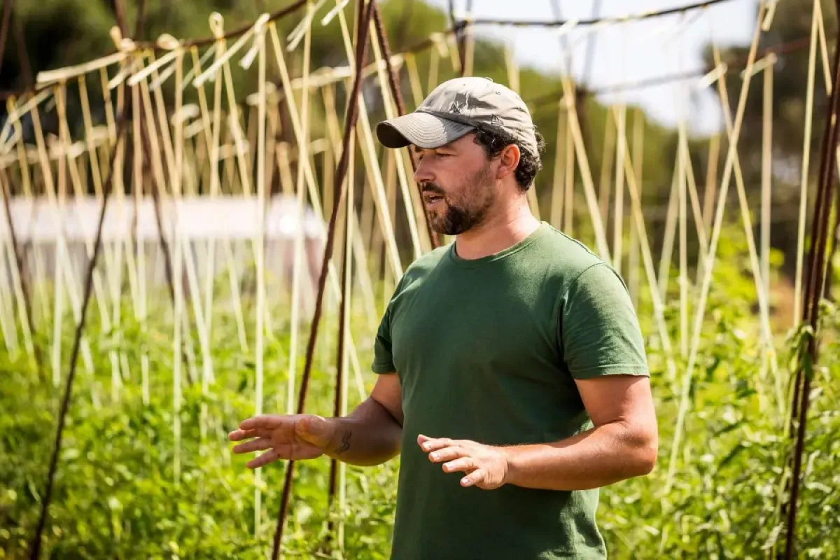 Hombre con camisa y gorra verdes de pie entre altas estacas de jardín en un campo soleado.