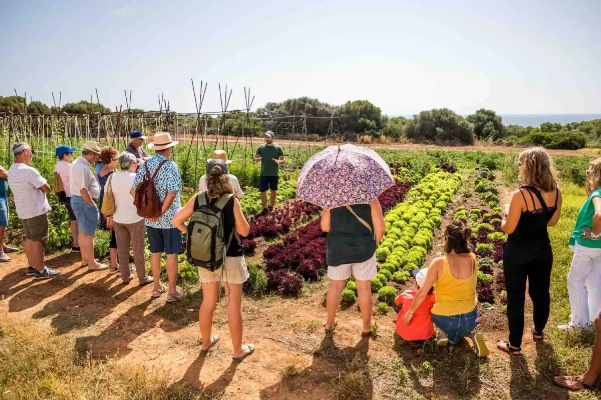 Gente contemplando hileras de cultivos coloridos en un campo soleado, algunos con paraguas y mochilas.