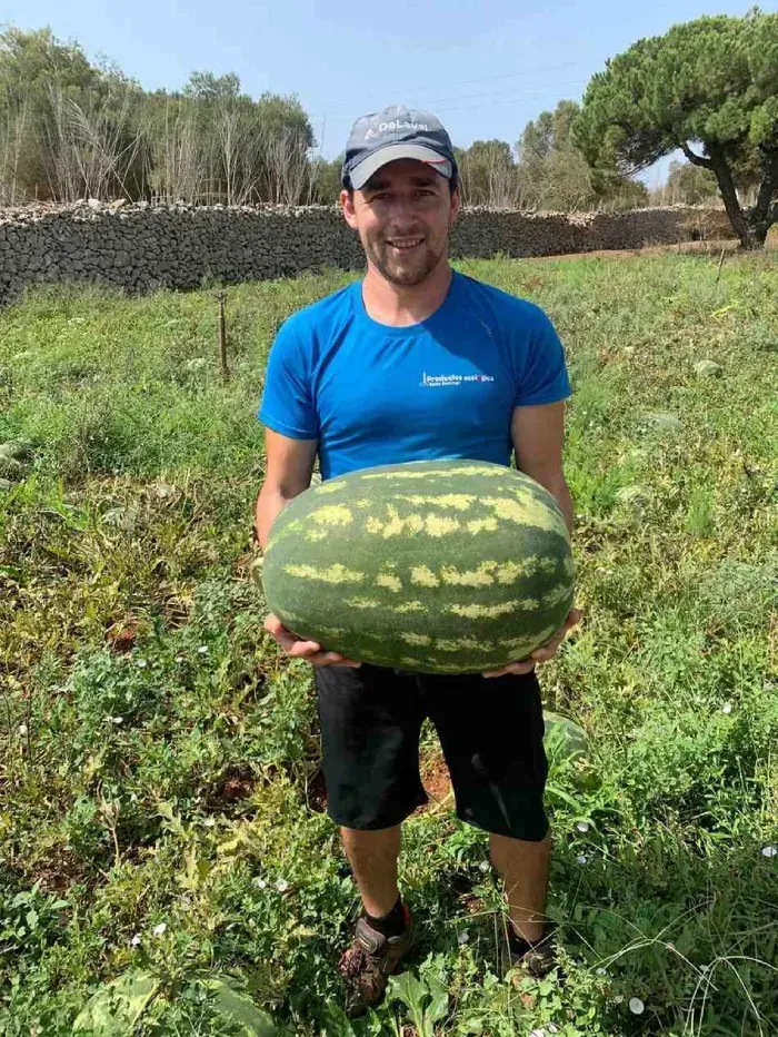 Hombre de pie en un campo sosteniendo una sandía grande, con árboles y un muro de piedra al fondo.