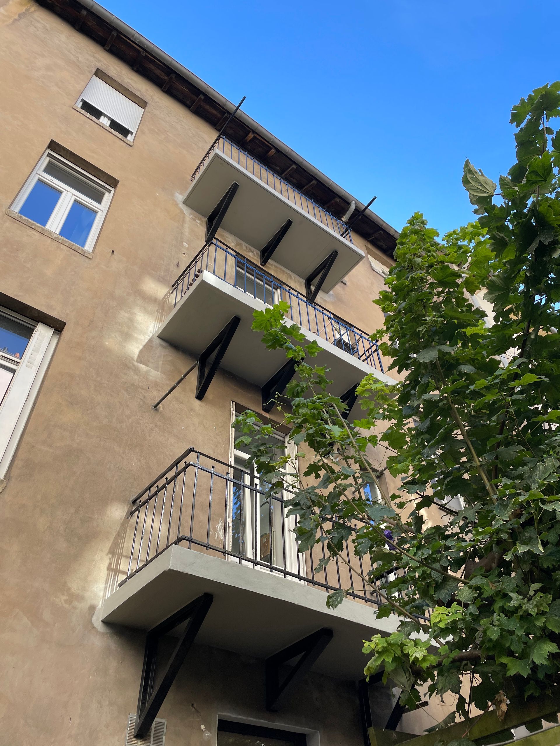 Extérieur du bâtiment avec balcons et un arbre contre un ciel bleu.