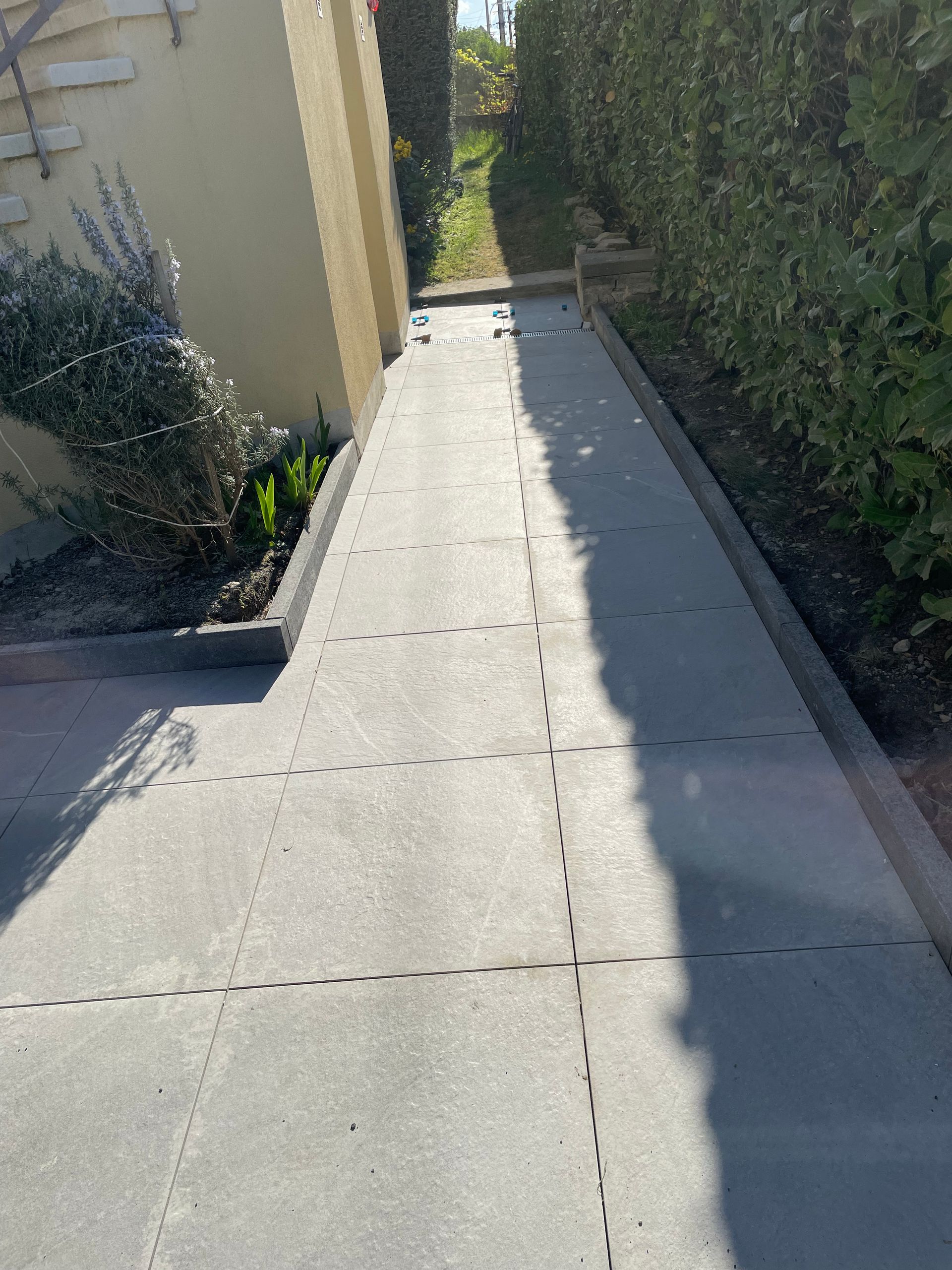 Allée en béton longeant une haie et un mur avec un petit jardin.