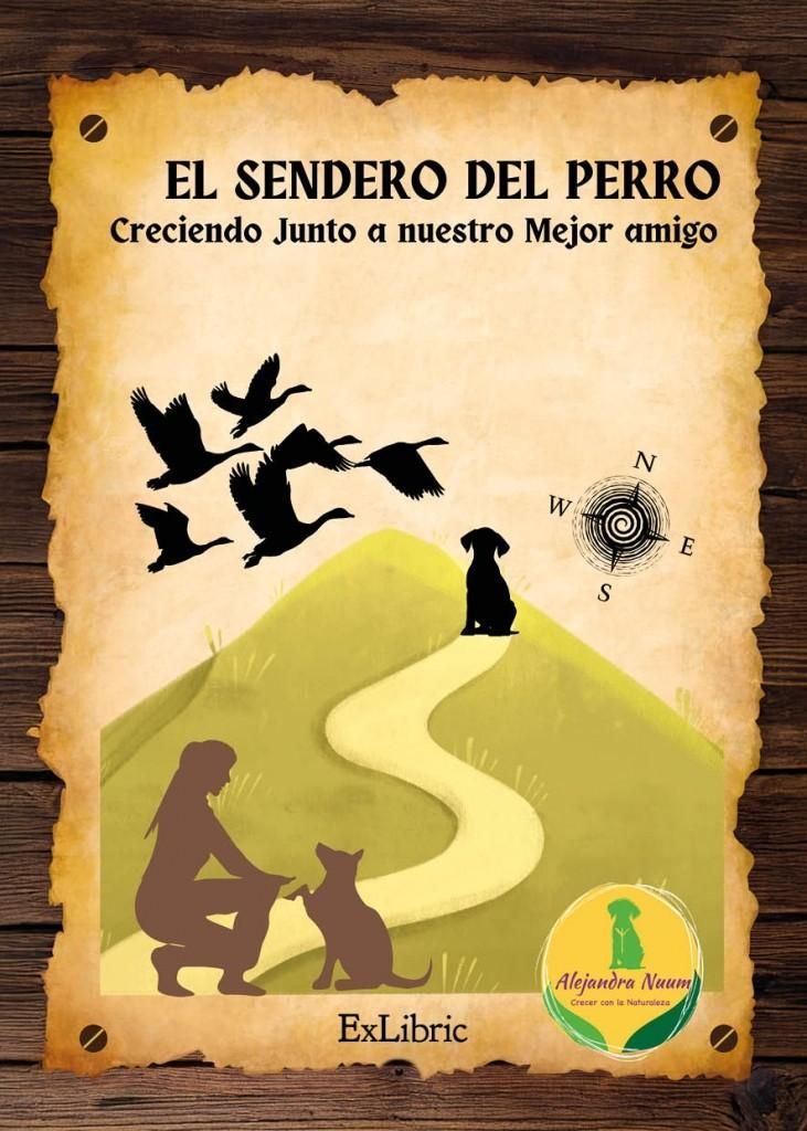 Icono de marcador de posición gris claro con un sol y montañas sobre fondo blanco