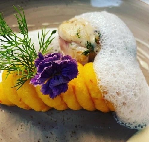Ein auf einem Teller angerichtetes Dessert mit einer glänzenden, roten, kuppelförmigen Mousse, frischen Beeren, Drachenfrucht und Pistazien als Garnitur.