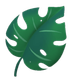 Green monstera leaf with holes and a short stem.