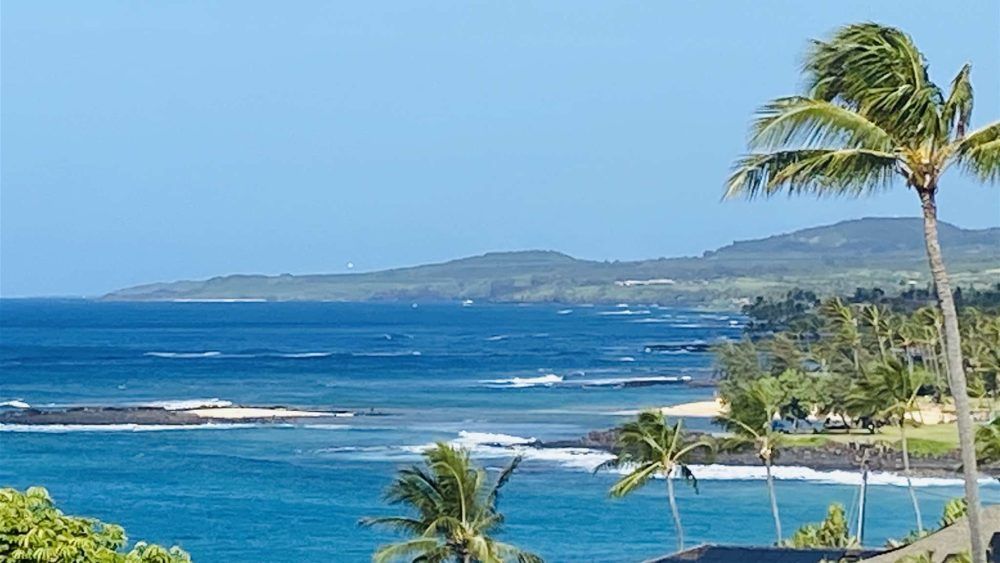 Blue ocean meets coastline, palm trees in foreground, mountains in the distance under a clear sky.